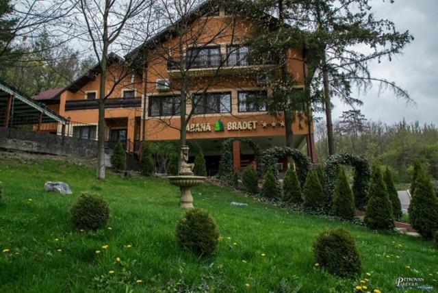 Pensiunea Turistica Cabana Bradet Simleu Silvaniei Exterior photo