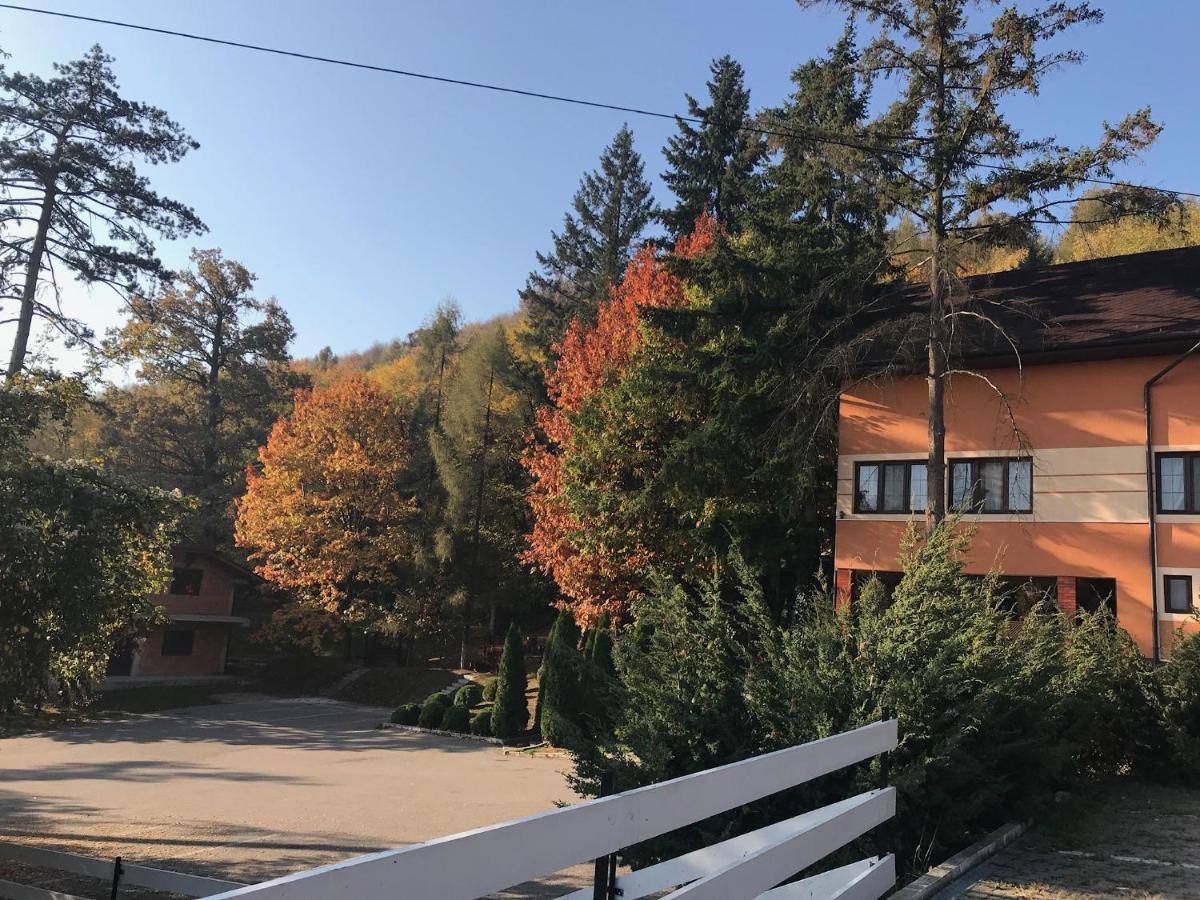 Pensiunea Turistica Cabana Bradet Simleu Silvaniei Exterior photo